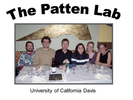 University of California Davis. 20min 30min 45min 1hour1hour 30min 0min 1min 2min 3min 10min Time evolution studies of metastable DPPC/PEG8S domains Pressure-area.