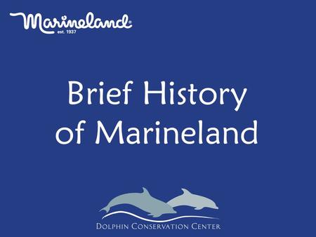 Brief History of Marineland. See notes below Why Train?