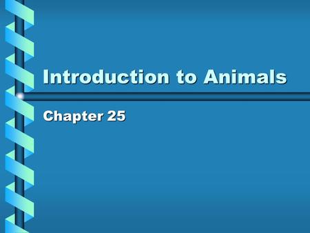 Introduction to Animals Chapter 25. Animal Overview Animal kingdom is extremely diverse ALL Animals are: - Multicellular –E–E–E–Eukaryotes –N–N–N–No cell.