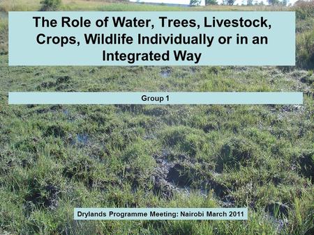 The Role of Water, Trees, Livestock, Crops, Wildlife Individually or in an Integrated Way Drylands Programme Meeting: Nairobi March 2011 Group 1.