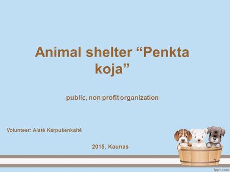 Animal shelter “Penkta koja” public, non profit organization Volunteer: Aistė Karpušenkaitė 2015, Kaunas 1.