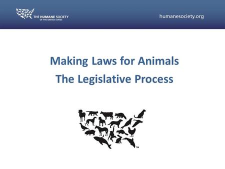 Making Laws for Animals The Legislative Process. Some situations require concrete changes in the law Legitimization of animal protection issues Media.