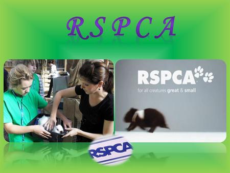 The Royal Society for the Prevention of Cruelty to Animals (RSPCA) is a charity operating in England and Wales that promotes animal welfare. In 2011,