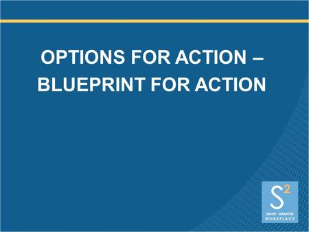 OPTIONS FOR ACTION – BLUEPRINT FOR ACTION. Executive (CEO) Engagement MAKING THE BUSINESS CASE Legal mandates Liability Employee engagement Corporate.