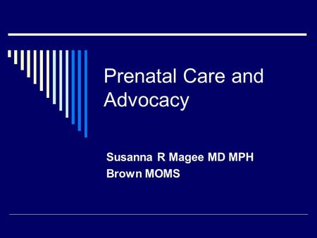 Prenatal Care and Advocacy Susanna R Magee MD MPH Brown MOMS.