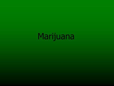 Marijuana. Cannabis, or marijuana, is a plant that grows in most all climates in on earth. It is a plant that has been around since ancient times and.