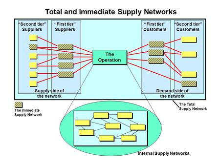 Total and Immediate Supply Networks “Second tier” Suppliers “First tier” Suppliers “Second tier” Customers “First tier” Customers The Operation Supply.