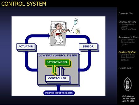 Introduction Clinical Setting - Glucoregulatory system - Patients and Data Assessment Proc. - Glucose sensors - Glycemia control system Control System.