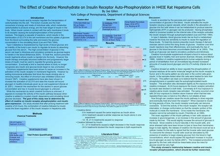 The Effect of Creatine Monohydrate on Insulin Receptor Auto-Phosphorylation in H4IIE Rat Hepatoma Cells By Joe Gillen York College of Pennsylvania, Department.