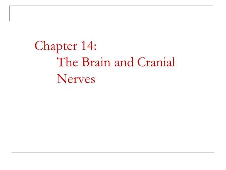 Chapter 14: The Brain and Cranial Nerves