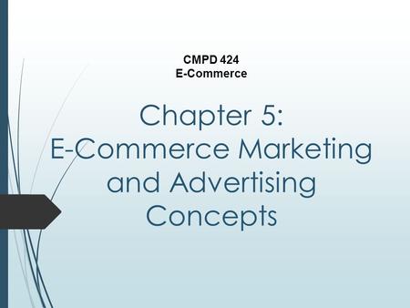 Chapter 5: E-Commerce Marketing and Advertising Concepts