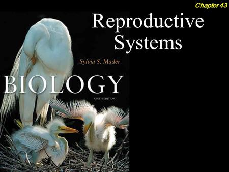 Reproductive Systems Chapter 43. Reproductive Systems 2Outline How Animals Reproduce  Asexual Reproduction  Sexual Reproduction  Life History Strategies.