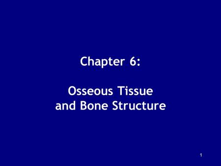 Chapter 6: Osseous Tissue and Bone Structure