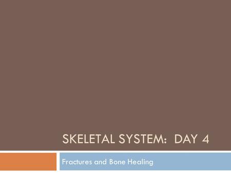 Fractures and Bone Healing