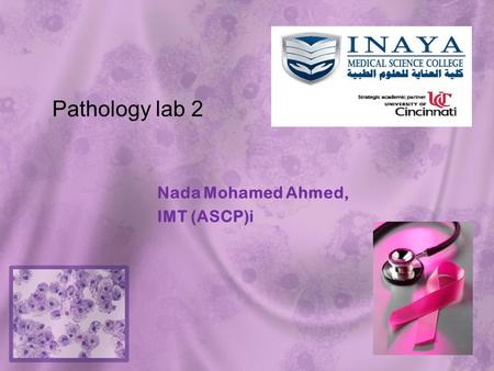 Nada Mohamed Ahmed, IMT (ASCP)i