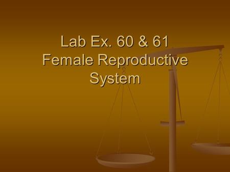 Lab Ex. 60 & 61 Female Reproductive System