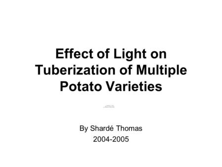 By Shardé Thomas 2004-2005 Effect of Light on Tuberization of Multiple Potato Varieties.