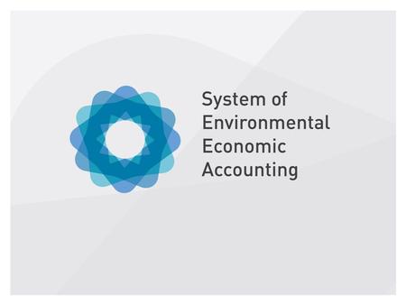 Environmental activity accounts Environmental taxes 10 th July 2015 Santiago, Chile.