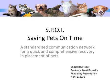 S.P.O.T. Saving Pets On Time A standardized communication network for a quick and comprehensive recovery in placement of pets CS410 Red Team Professor.