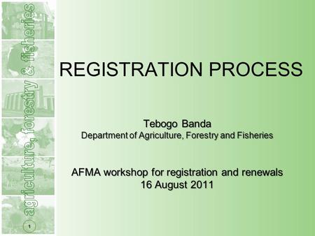 1 Tebogo Banda Department of Agriculture, Forestry and Fisheries AFMA workshop for registration and renewals 16 August 2011 REGISTRATION PROCESS.