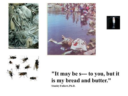 It may be s--- to you, but it is my bread and butter. Stanley Falkow, Ph.D.