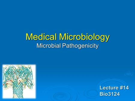 Lecture #14 Bio3124 Medical Microbiology Microbial Pathogenicity.