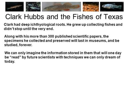 Clark had deep ichthyological roots. He grew up collecting fishes and didn’t stop until the very end. Along with his more than 300 published scientific.