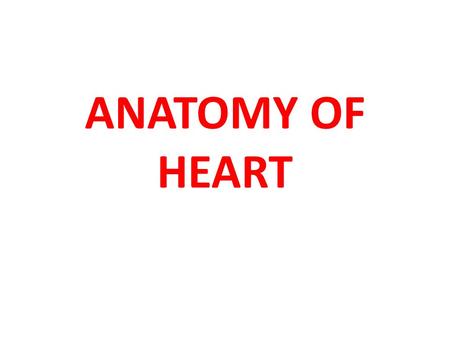 ANATOMY OF HEART. Thorax Thorax is the superior part of the trunk between the neck and abdomen. It extends below the neck to the diaphragm. It contains.