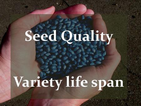 Seed Quality Variety life span. Value Shifts Continue No longer just a seed… Planting unit Technology Vigor Protection Fiber Quality Additional Traits.