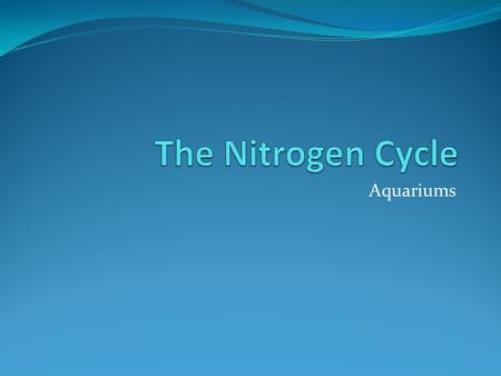 Aquariums. Every newly set up aquarium goes through a process of establishing beneficial bacterial colonies. Older aquariums also go through periods during.