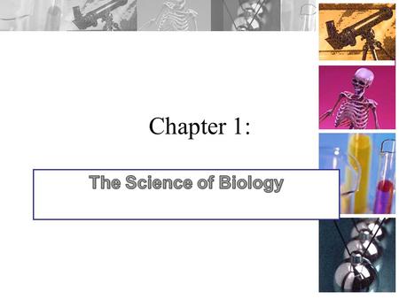 Chapter 1: A. Science is: 1. Investigating and understanding the natural world 2. Explaining events in the natural world 3. Using explanations to make.