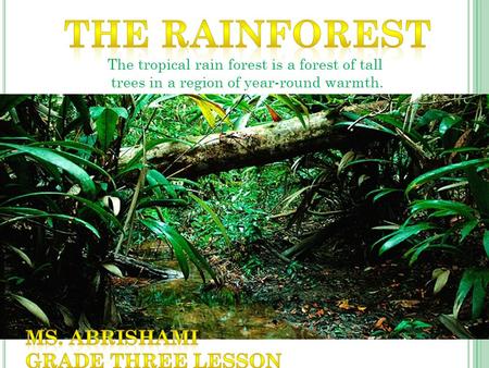 W HERE ARE THEY ? Almost all rain forests lie near the equator. The three largest rainforests are American, African, and Asian. Each has a different.