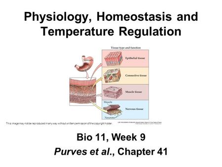 Physiology, Homeostasis and Temperature Regulation Bio 11, Week 9 Purves et al., Chapter 41 This image may not be reproduced in any way without written.