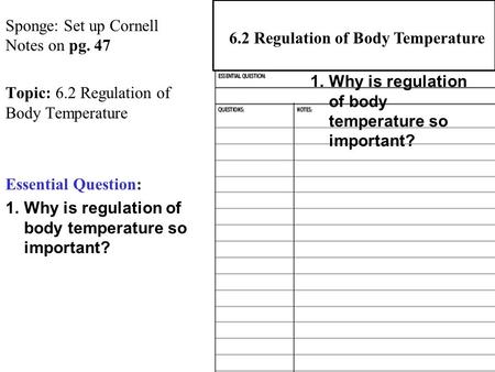 Sponge: Set up Cornell Notes on pg. 47 Topic: 6.2 Regulation of Body Temperature Essential Question: 1.Why is regulation of body temperature so important?