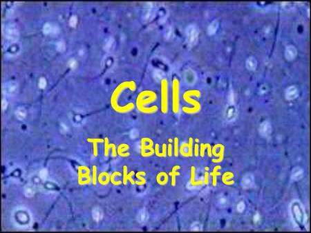 Cells The Building Blocks of Life. How Did the Earth Form? We do not know for certain how the Earth formed. Most scientists agree that the Earth formed.