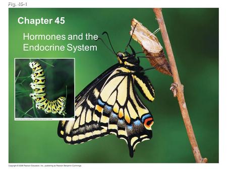 Fig. 45-1 Chapter 45 Hormones and the Endocrine System.