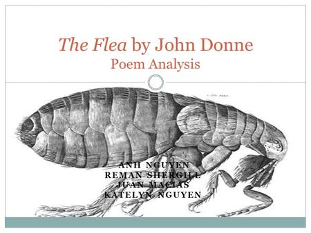 The Flea by John Donne Poem Analysis