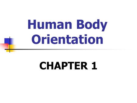 Human Body Orientation CHAPTER 1. Anatomy & Physiology Structure serves function Examples: Bone Lung Multi-tasking systems.