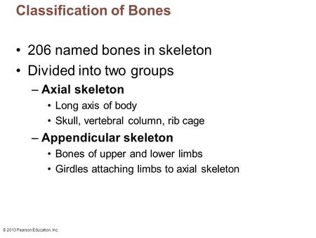 © 2013 Pearson Education, Inc. Classification of Bones 206 named bones in skeleton Divided into two groups –Axial skeleton Long axis of body Skull, vertebral.