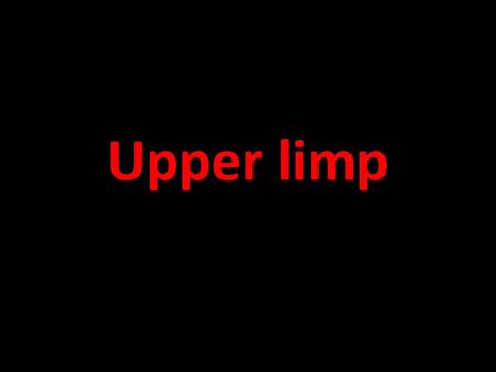 Upper limp.