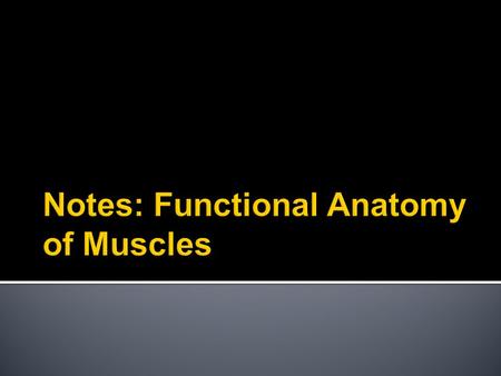  Produce skeletal movement  By contraction of muscle fibers  True of all = cardiac, smooth, skeletal  Maintain posture/body position  Some muscles.