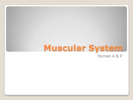 Muscular System Human A & P. There are 3 types of muscle tissue: ◦A. Skeletal ◦B. Smooth ◦C. Cardiac ◦The essential function of a muscle is contraction,