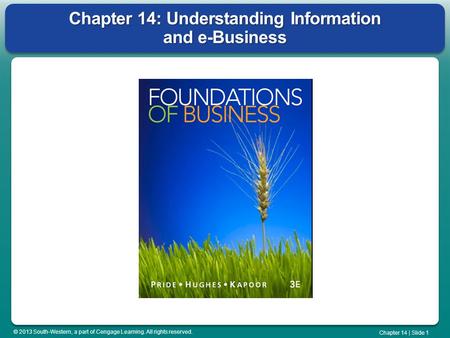 © 2013 South-Western, a part of Cengage Learning. All rights reserved. Chapter 14 | Slide 1 Chapter 14: Understanding Information and e-Business.