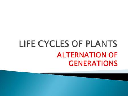 ALTERNATION OF GENERATIONS. 1.Alternation of generations: haploid (n) stage that produces gametes followed by diploid (2n) stage producing spores. 2.Haploid: