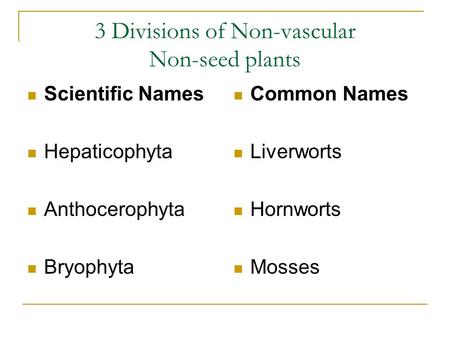 3 Divisions of Non-vascular Non-seed plants