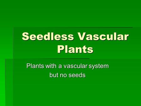 Seedless Vascular Plants