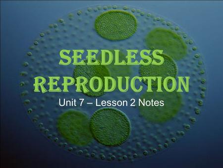 Seedless Reproduction