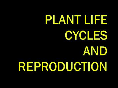 LIFE CYCLE  Every organism goes through a life cycle.  A life cycle consists of: the beginning of life growth and development reproduction death.