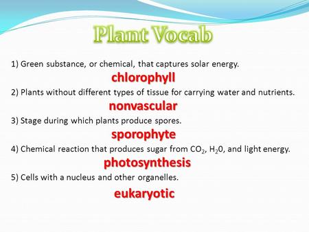 1) Green substance, or chemical, that captures solar energy. 2) Plants without different types of tissue for carrying water and nutrients. 3) Stage during.