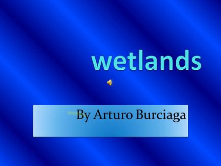 By Arturo Burciaga Map of wetlands The wetlands is in many places.